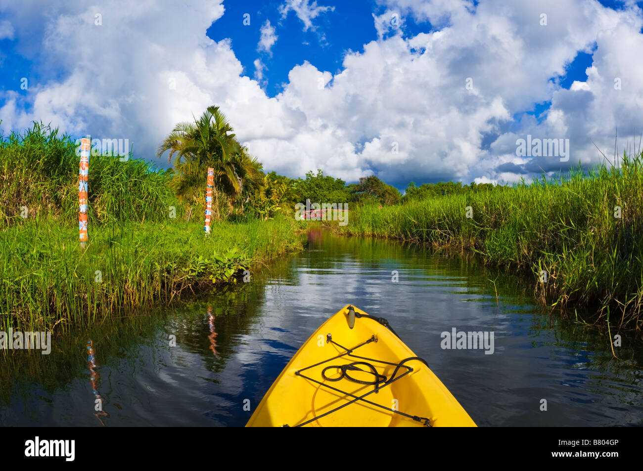 Kayak sul tranquillo Fiume Hanalei Isola di Kauai Hawaii Foto Stock