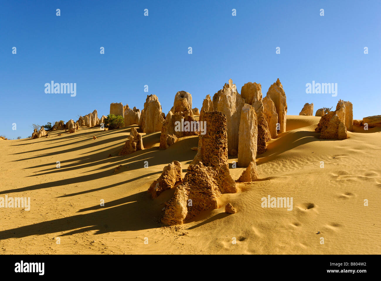 I Pinnacoli Nambung National Park Western Australia formazioni calcaree Foto Stock