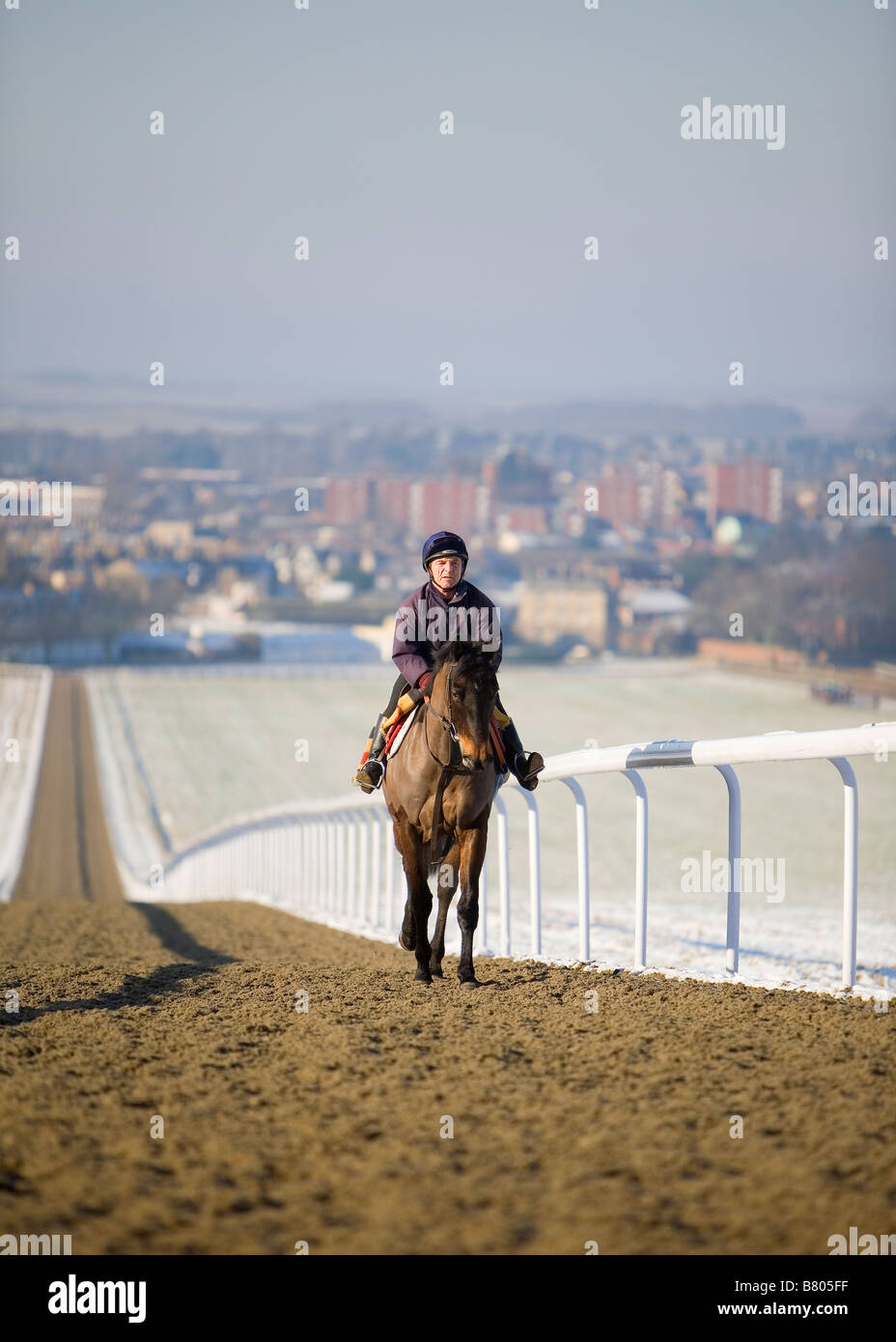 Addestramento del cavallo. Foto Stock