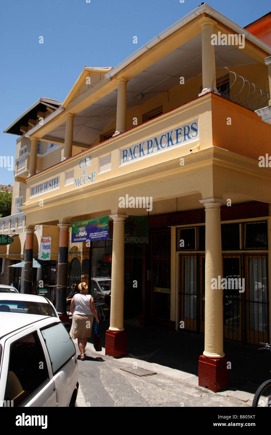 Il gatto e alci ostello della gioventù e backpackers lodge Long Street, Città del Capo SUD AFRICA Foto Stock