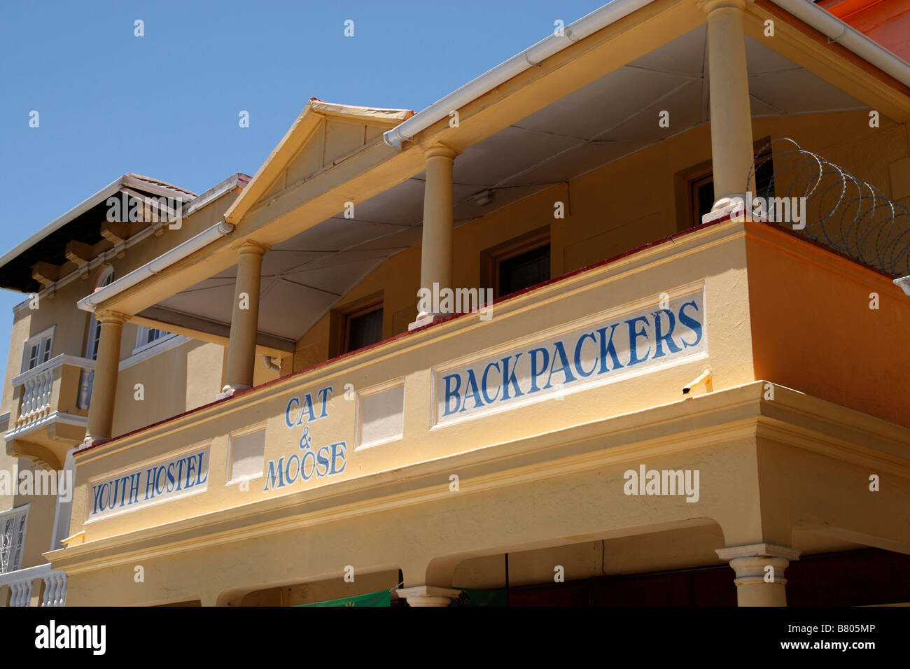 Il gatto e alci ostello della gioventù e backpackers lodge Long Street, Città del Capo SUD AFRICA Foto Stock