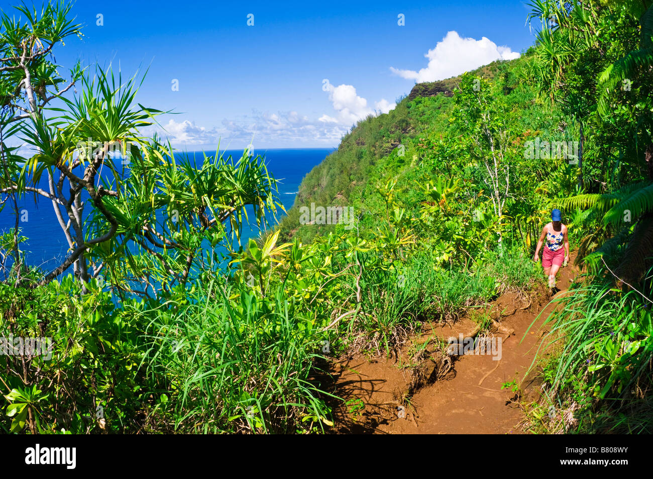 Escursionista sul lussureggiante Kalalau Trail sulla costa di Na Pali Isola di Kauai Hawaii Foto Stock