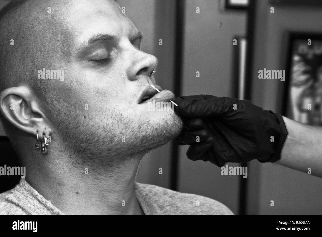 Tracy Baker, un apprendista piercer in un salotto tattoo in Rockland, Maine, perfora il labbro di Sean Jeweii, suo maestro. Foto Stock