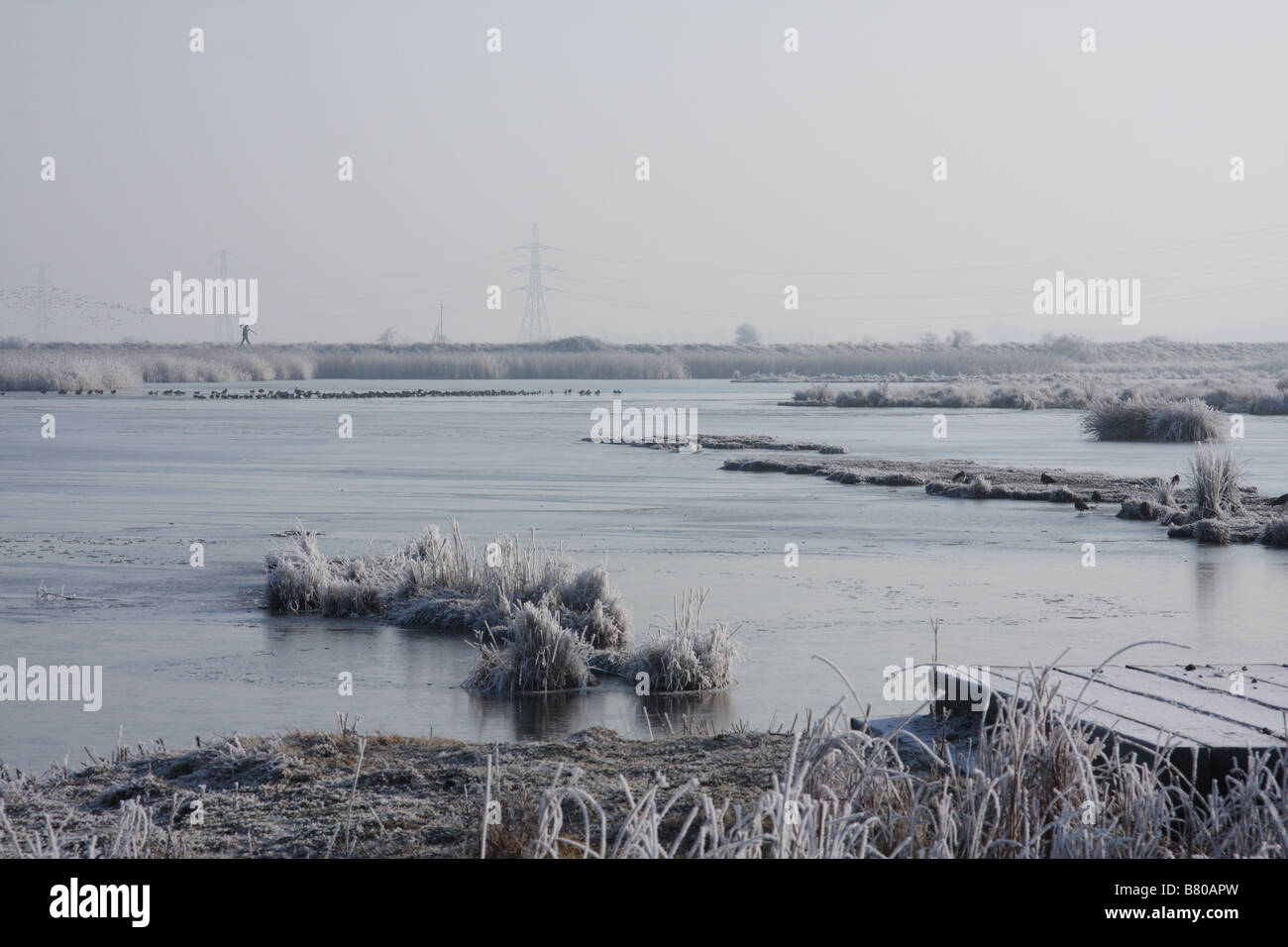 Osono paludi ghiacciato in inverno con un disco il gelo e la maggior parte dell'acqua congelata. Parte del Nord Kent paludi nel Kent Foto Stock