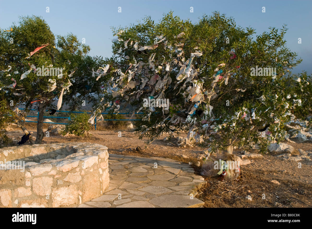 Desidero alberi sul vento vicino a Saint Elias (Profitis Ilias) antica chiesa sulla roccia in Pissouri, Protaras, Cipro del Sud Foto Stock