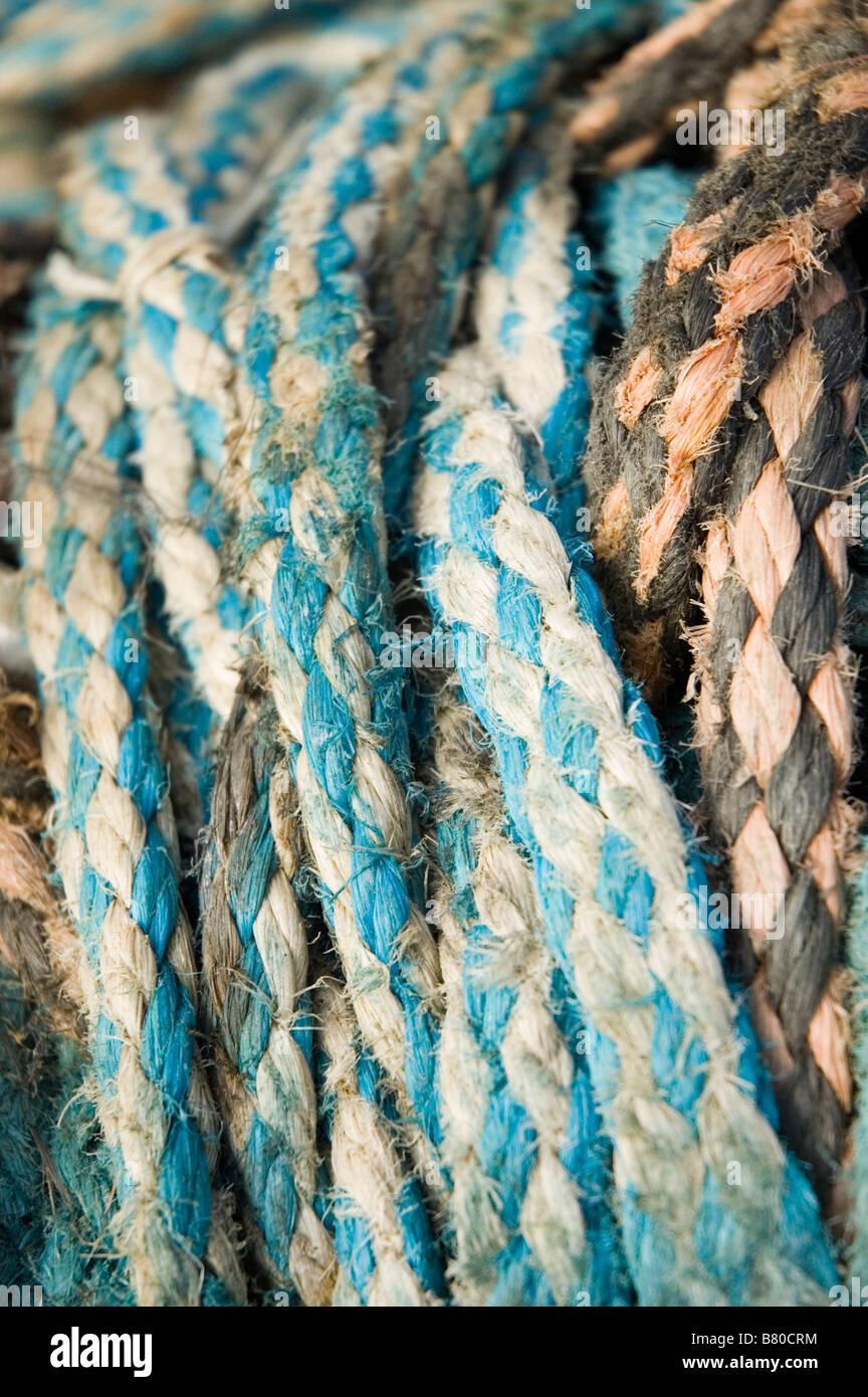 Fascio di corde intrecciate Foto Stock