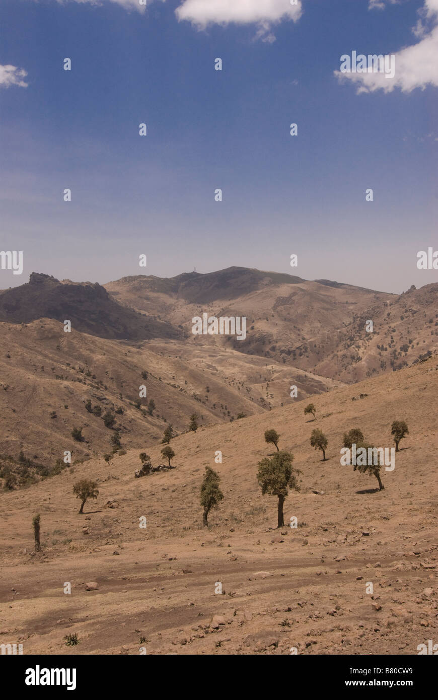 La balla montagne Etiopia Africa Foto Stock