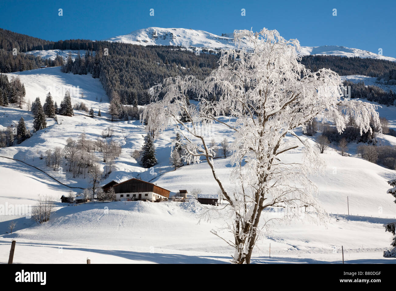 Rauriser Bucheben Sonnen Valley Austria Gennaio inverno scena di neve nelle Alpi austriache dopo la pesante caduta di neve Foto Stock