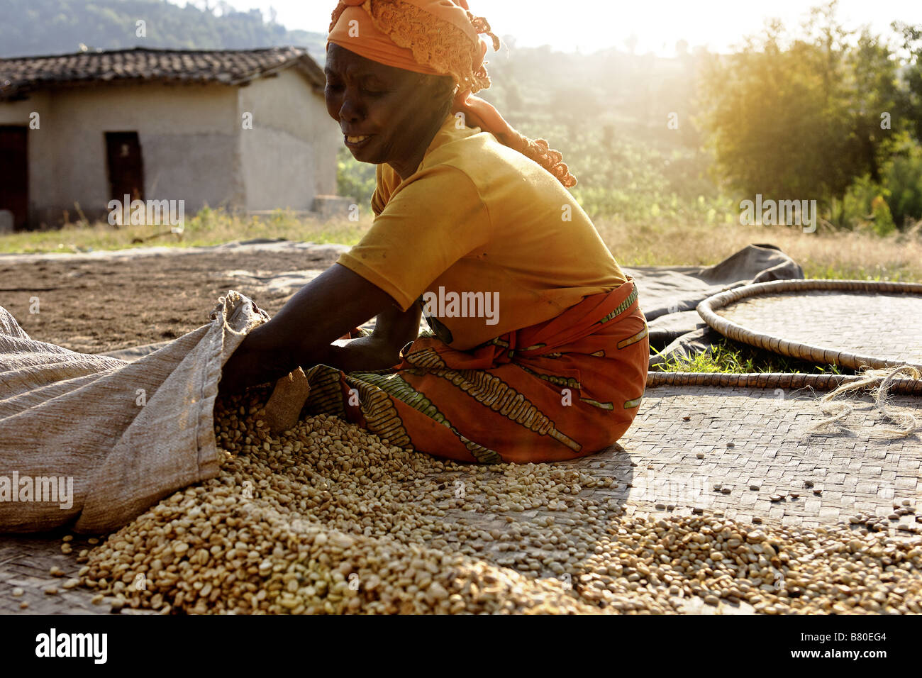 Donna africana a secco di imballaggio i chicchi di caffè Foto Stock