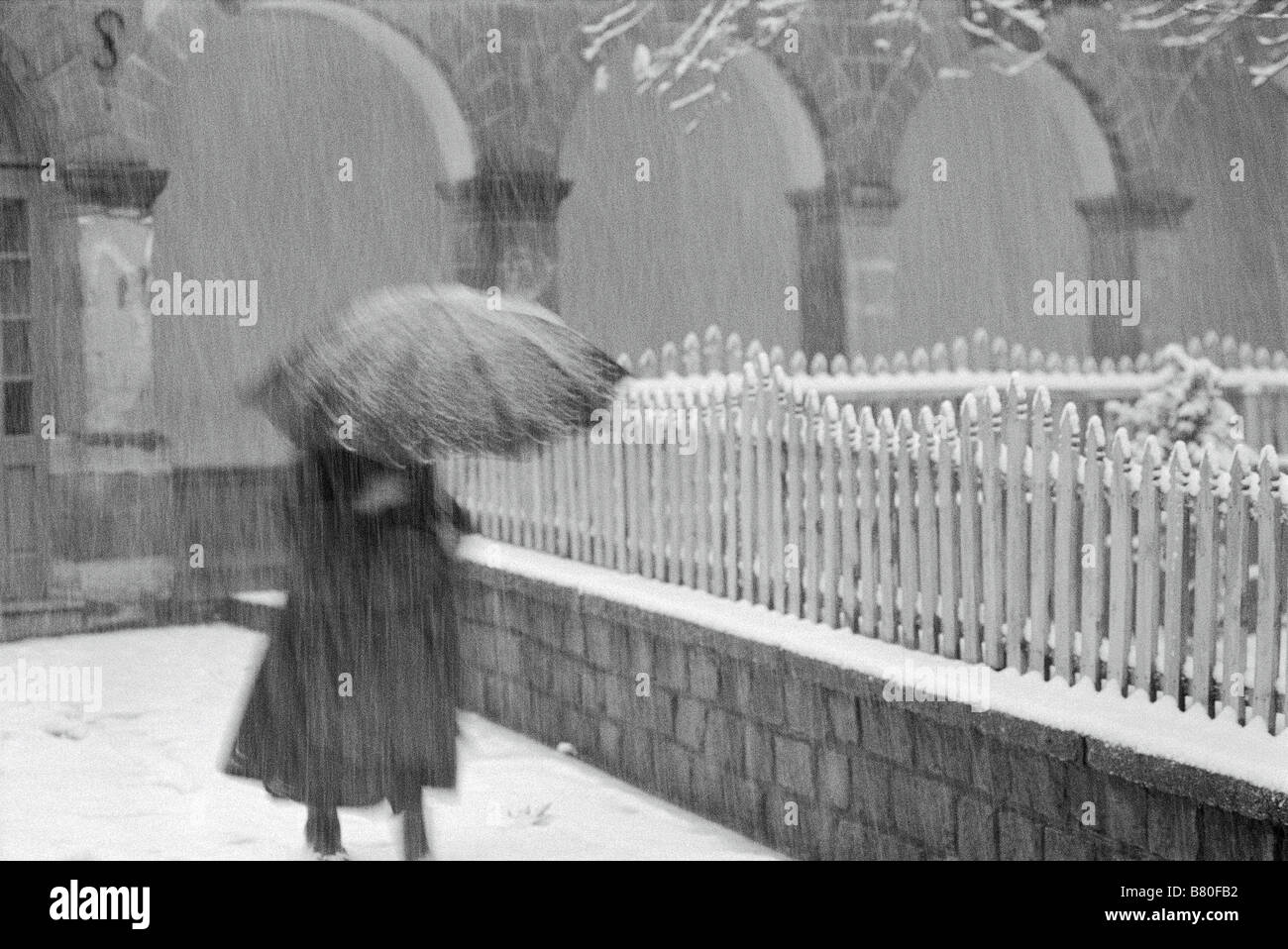 Bianco & Nero fotografia di una donna che cammina lungo una recinzione in una tempesta di neve bagnata, portando un ombrello. Foto Stock