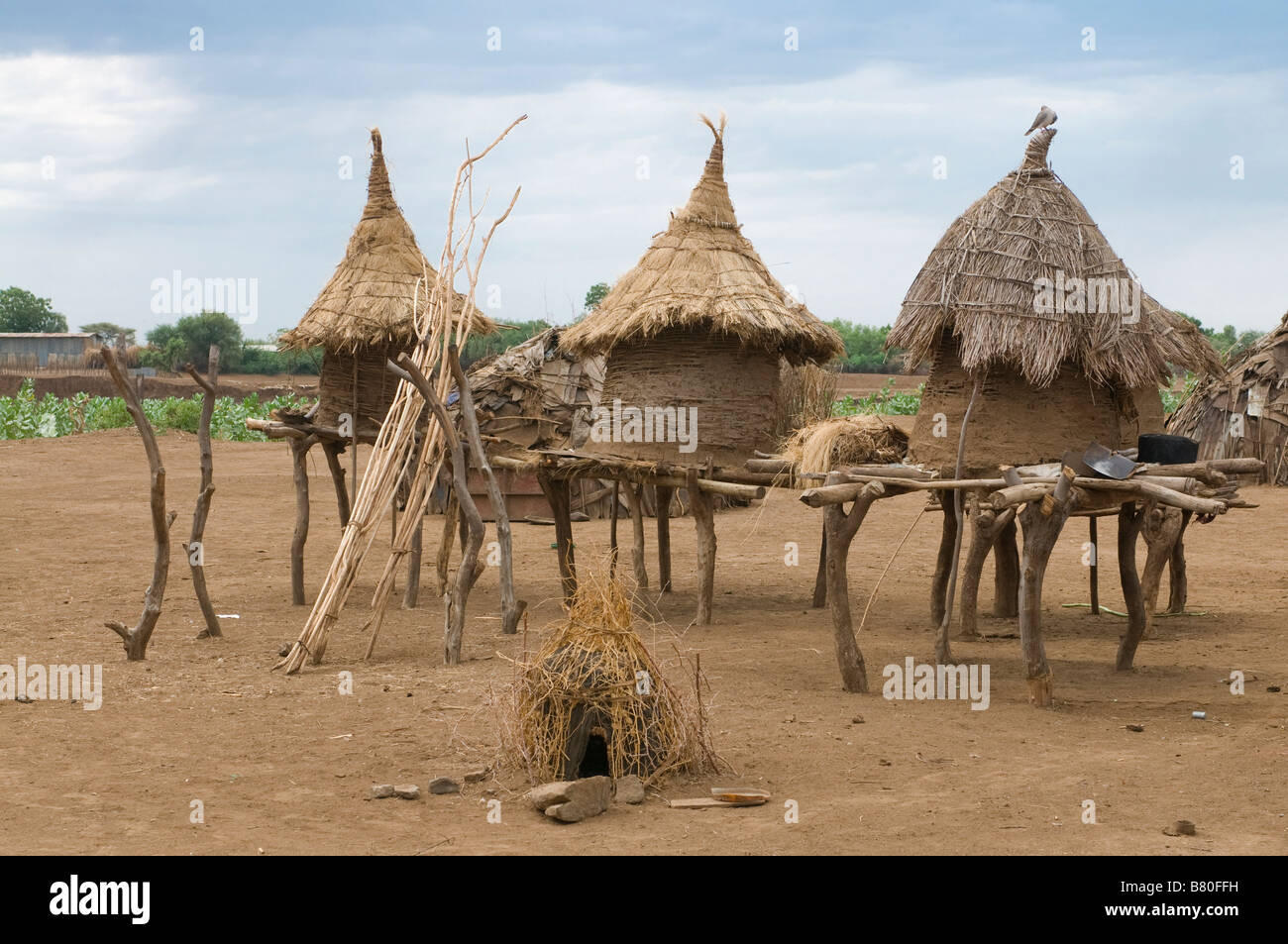 Poco case di storage dalla tribù dei Dasanech Omovalley Etiopia Africa Foto Stock