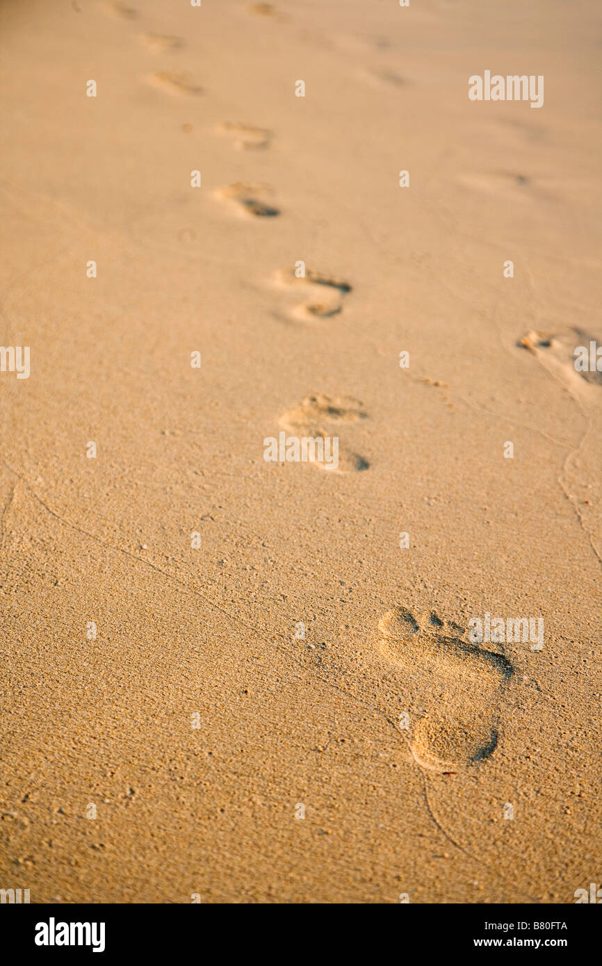 Piedi stampe nella sabbia. Foto Stock