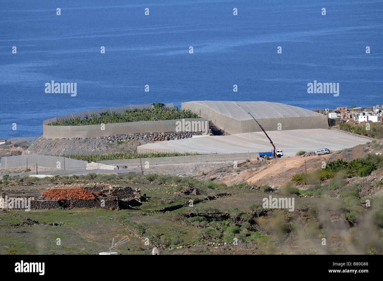 Piantagione di banane sotto i coperchi di compensazione sulla costa meridionale di Tenerife Isole Canarie Foto Stock