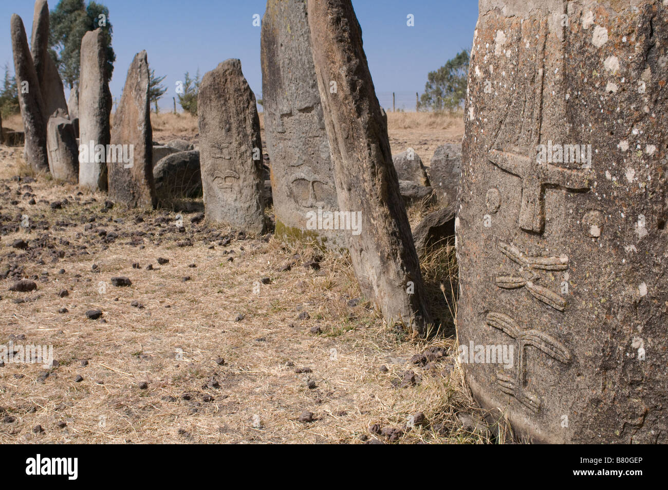 Le vecchie lapidi o monoliti di Tiya patrimonio mondiale Africa Etiopia Foto Stock
