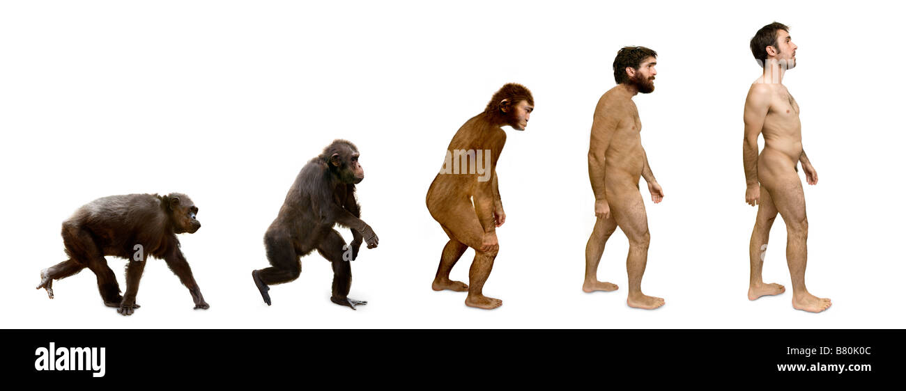 Evoluzione dell'uomo Foto Stock