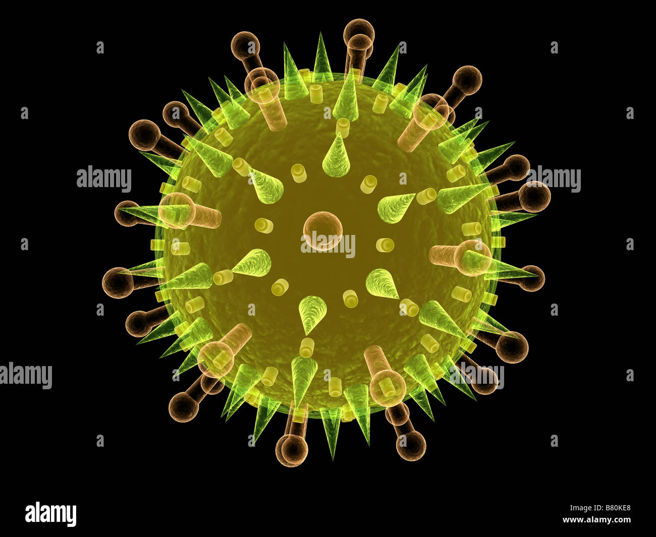 virus dell'influenza Foto Stock