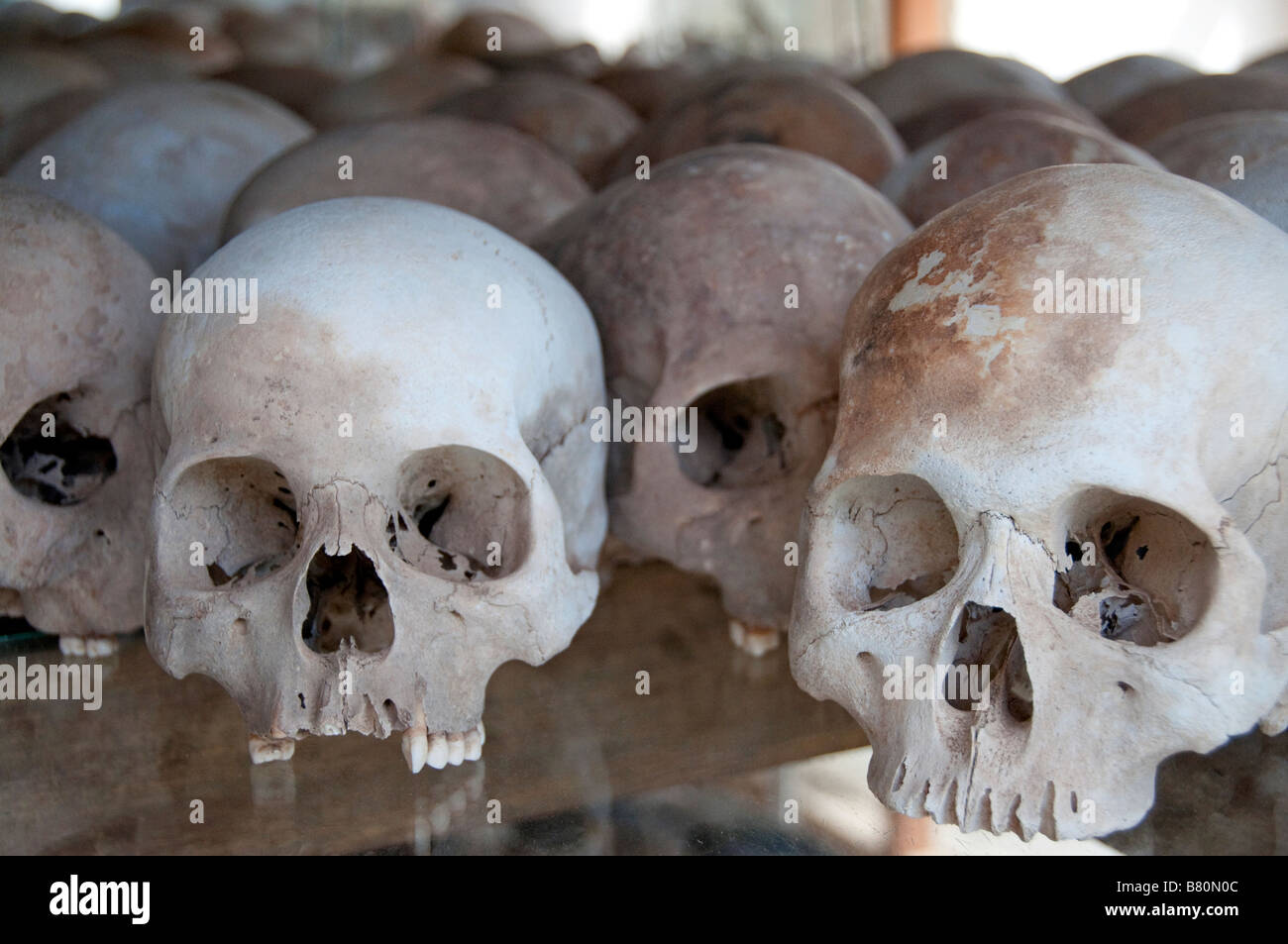 Teschi delle vittime sul display a Choeung Ek (i Killing Fields) in Phnom Penh Cambogia Foto Stock