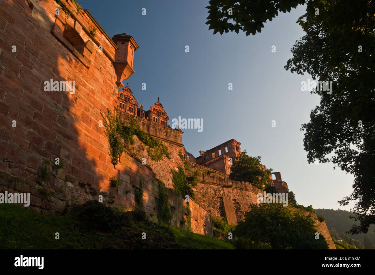 Castello di Heidelberg, Germania Foto Stock