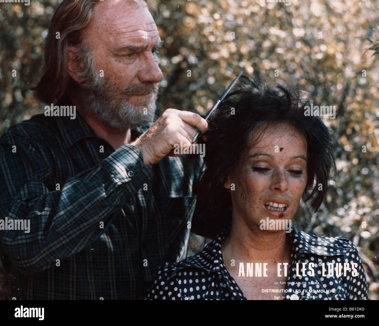 Ana y los lobos Anna e i Lupi Anno : 1973 Spagna Direttore: Carlos Saura Geraldine Chaplin, Fernando Fernán Gómez Foto Stock