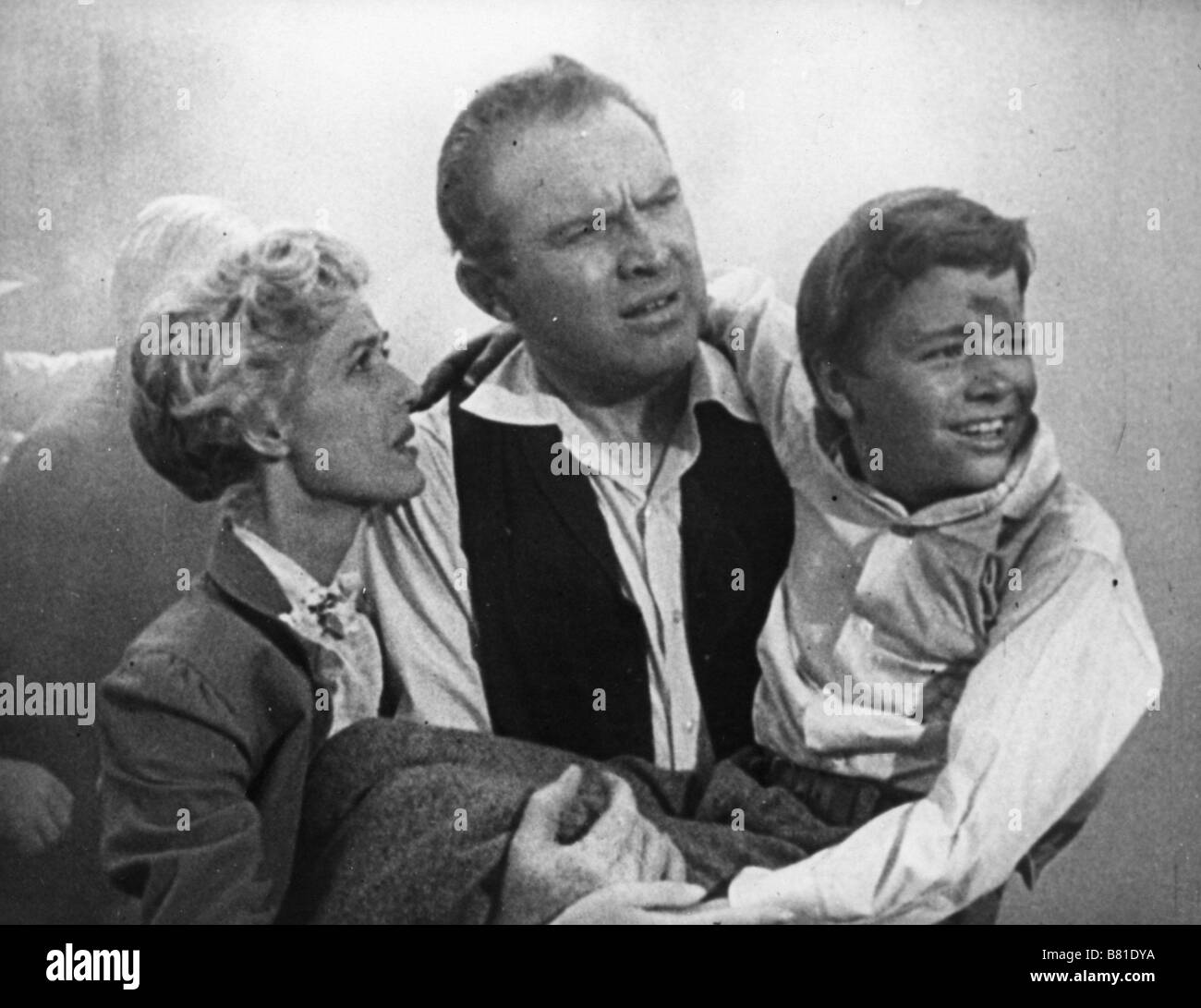 Il mio amico Flicka serie TV USA 1956-1958 Direttore: James B. Clark Robert Gordon Johnny Washbrook, Gene Evans, Anita Louise Foto Stock