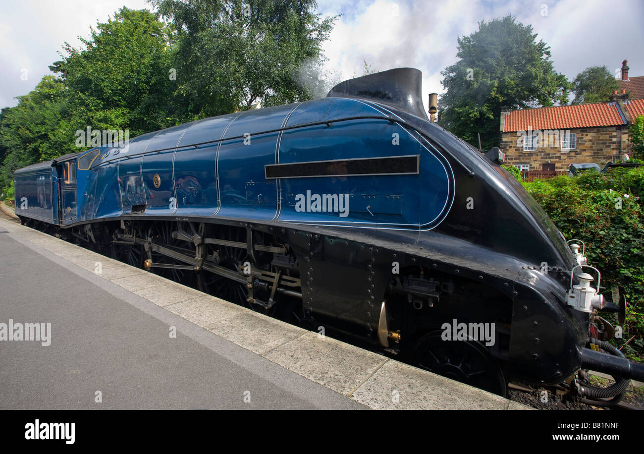 Sir Nigel Gresley locomotiva a vapore, North Yorkshire, Inghilterra Foto Stock