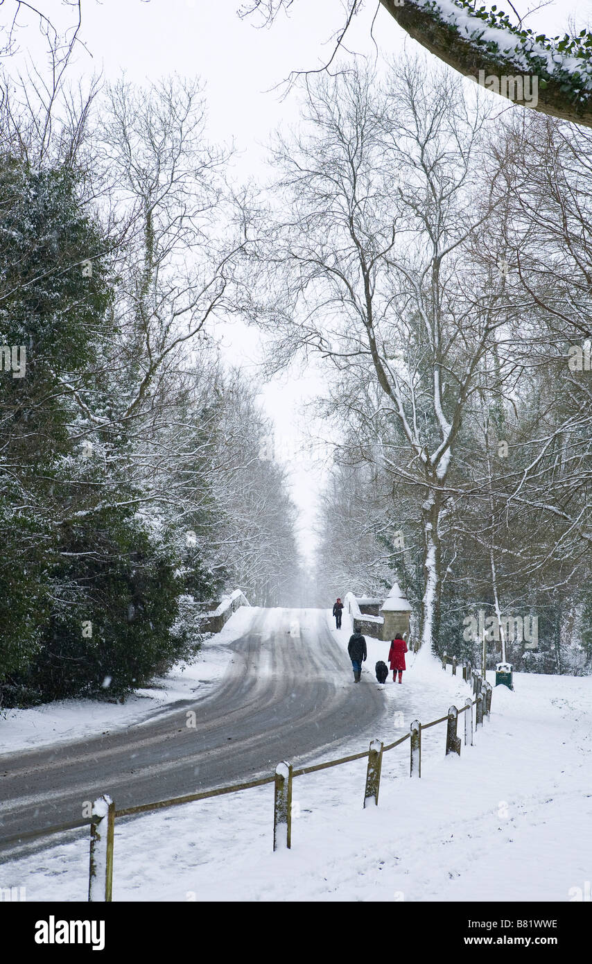 Camminatori cane lungo Mill Road, Arundel, West Sussex nella neve d'inverno Foto Stock