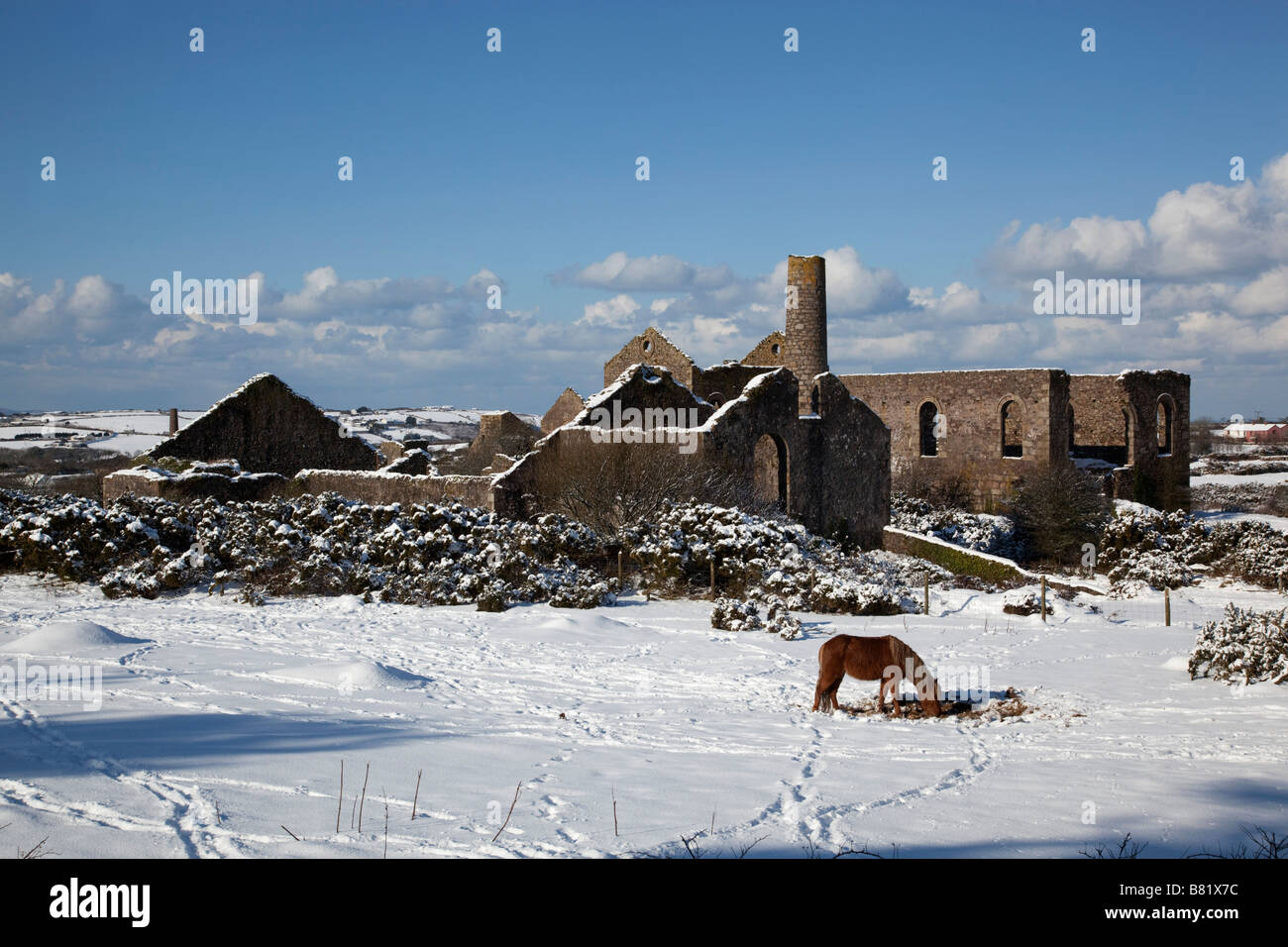 Wheal Francesco camborne cornovaglia nella neve Foto Stock