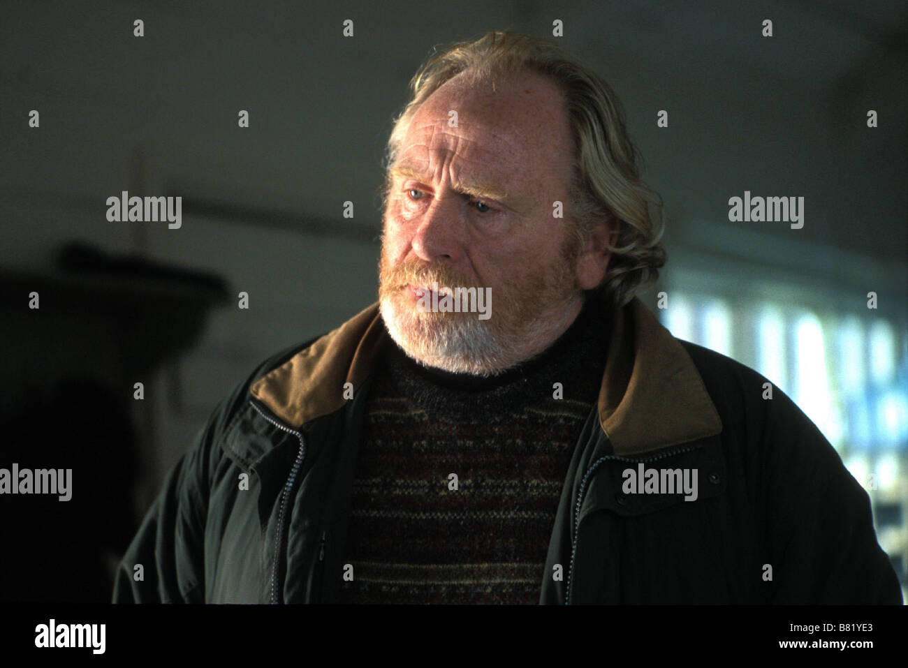 Half Light Half Light Anno: 2006 - Germania / Regno Unito James Cosmo Direttore: Craig Rosenberg Foto Stock