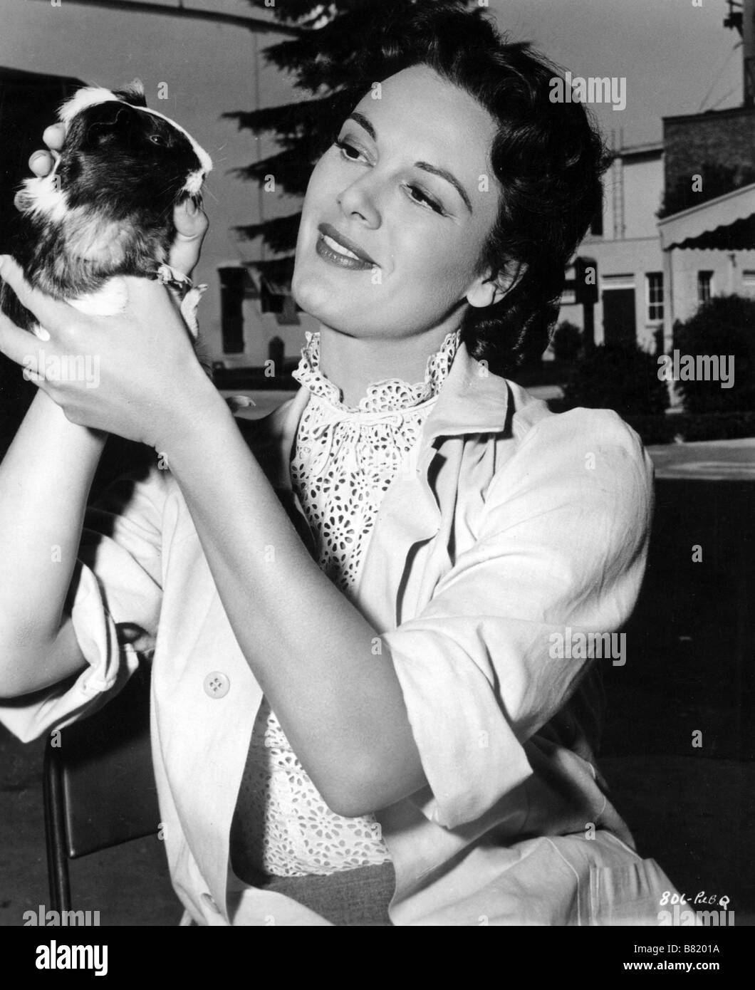 Phantom of the Rue Morgue Année : 1954 USA Direttore : Roy Del Ruth Patricia Medina basato su Edgar Allan Poe Foto Stock