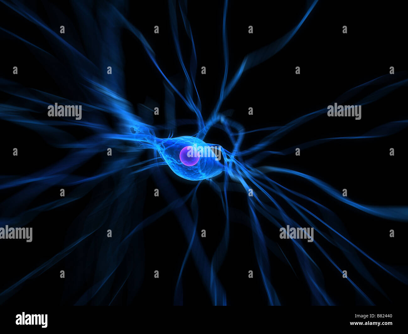 delle cellule nervose Foto Stock