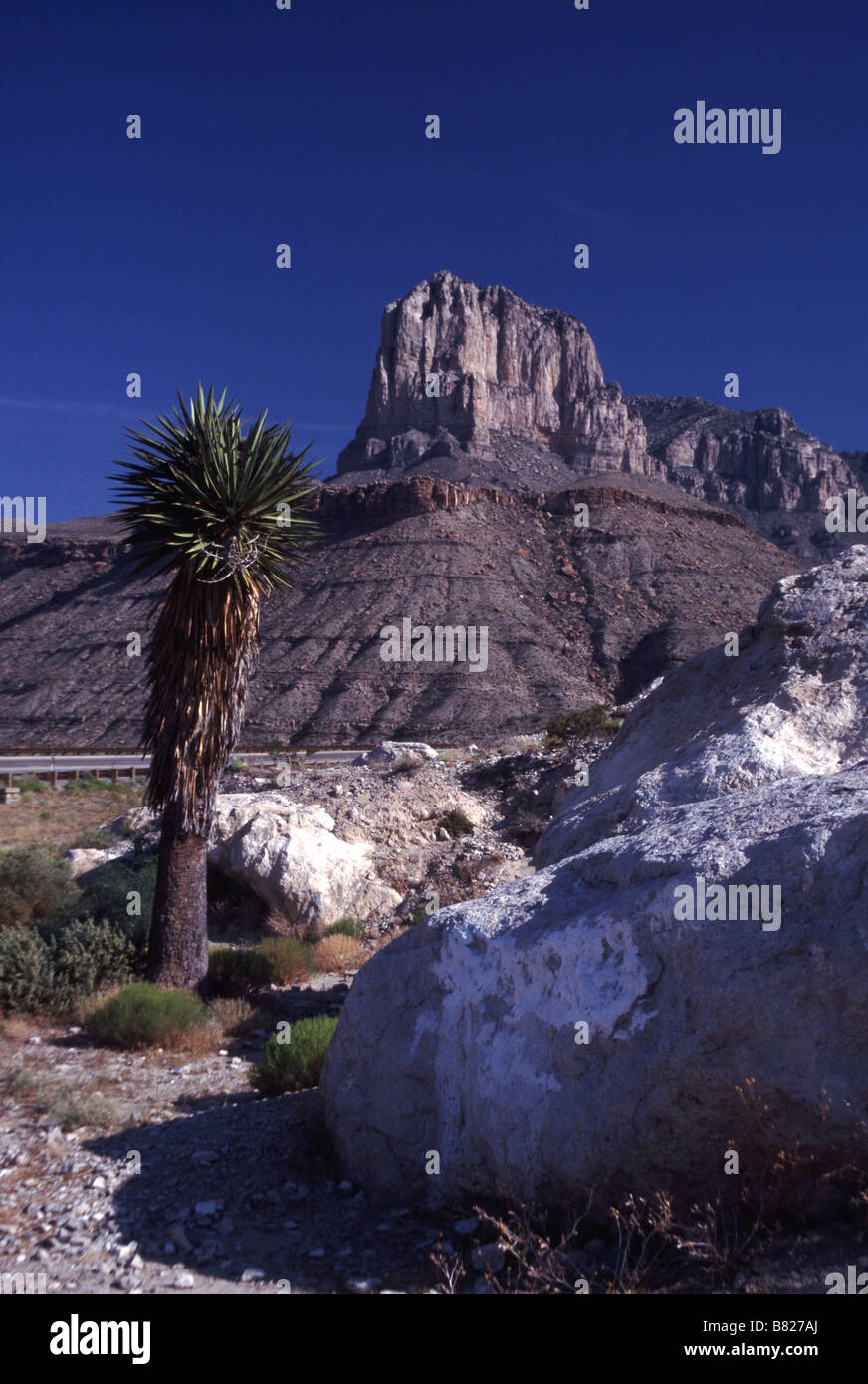 Guadalupe Mountains NP Texas STATI UNITI Foto Stock