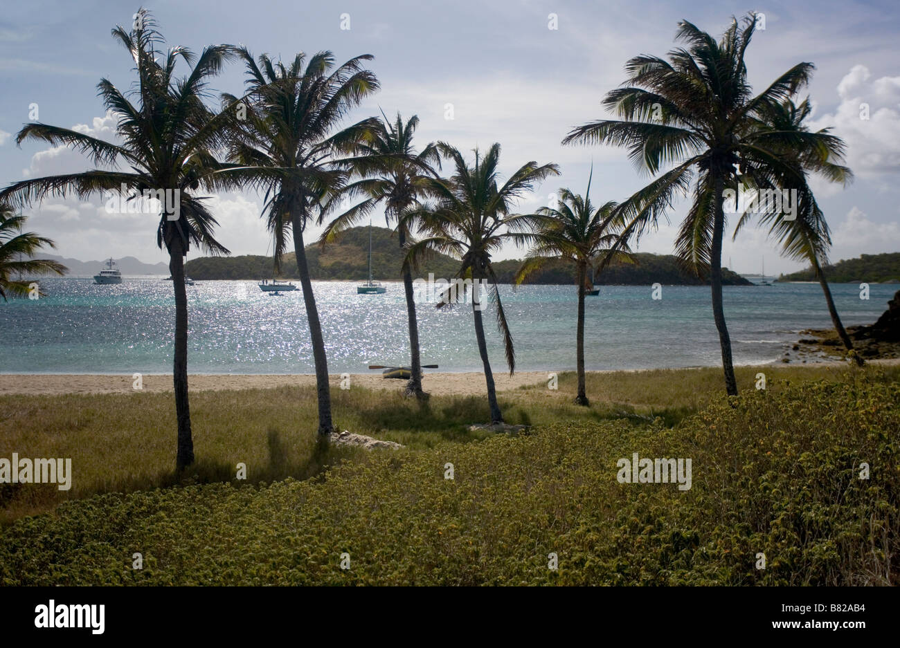 Barche a vela da crociera ancorato dietro Baradel isola di Tobago Cays nei Caraibi Il Tobago Cays sono parte di St Vincent. Foto Stock