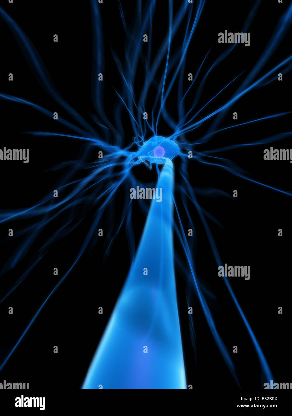 delle cellule nervose Foto Stock