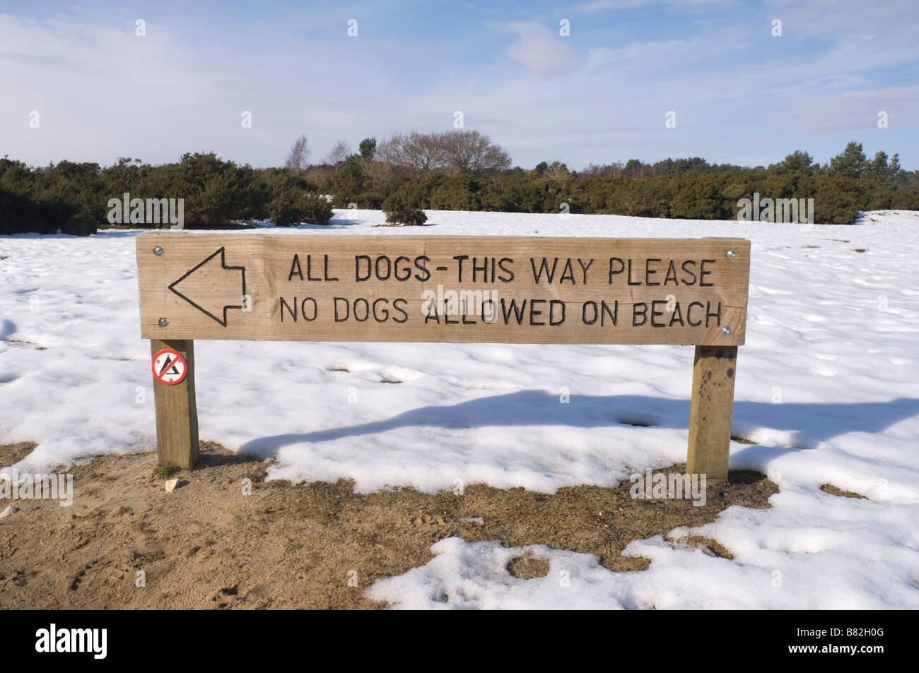 I cani non sono ammessi sulla spiaggia segno grande a Frensham Pond Surrey UK Foto Stock