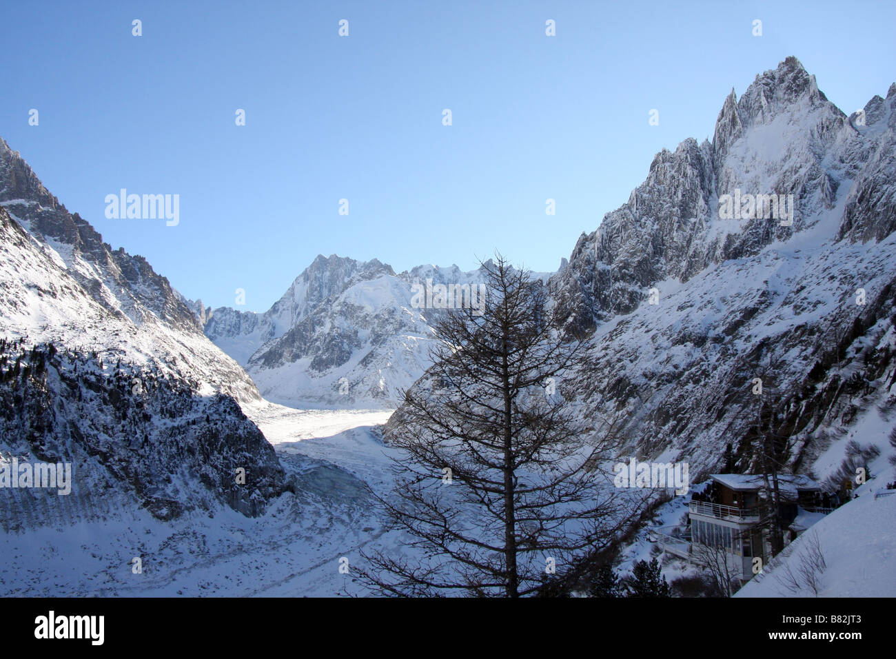 Vista della Mer de Glace ghiacciaio nel massiccio del Monte Bianco, Francia Foto Stock