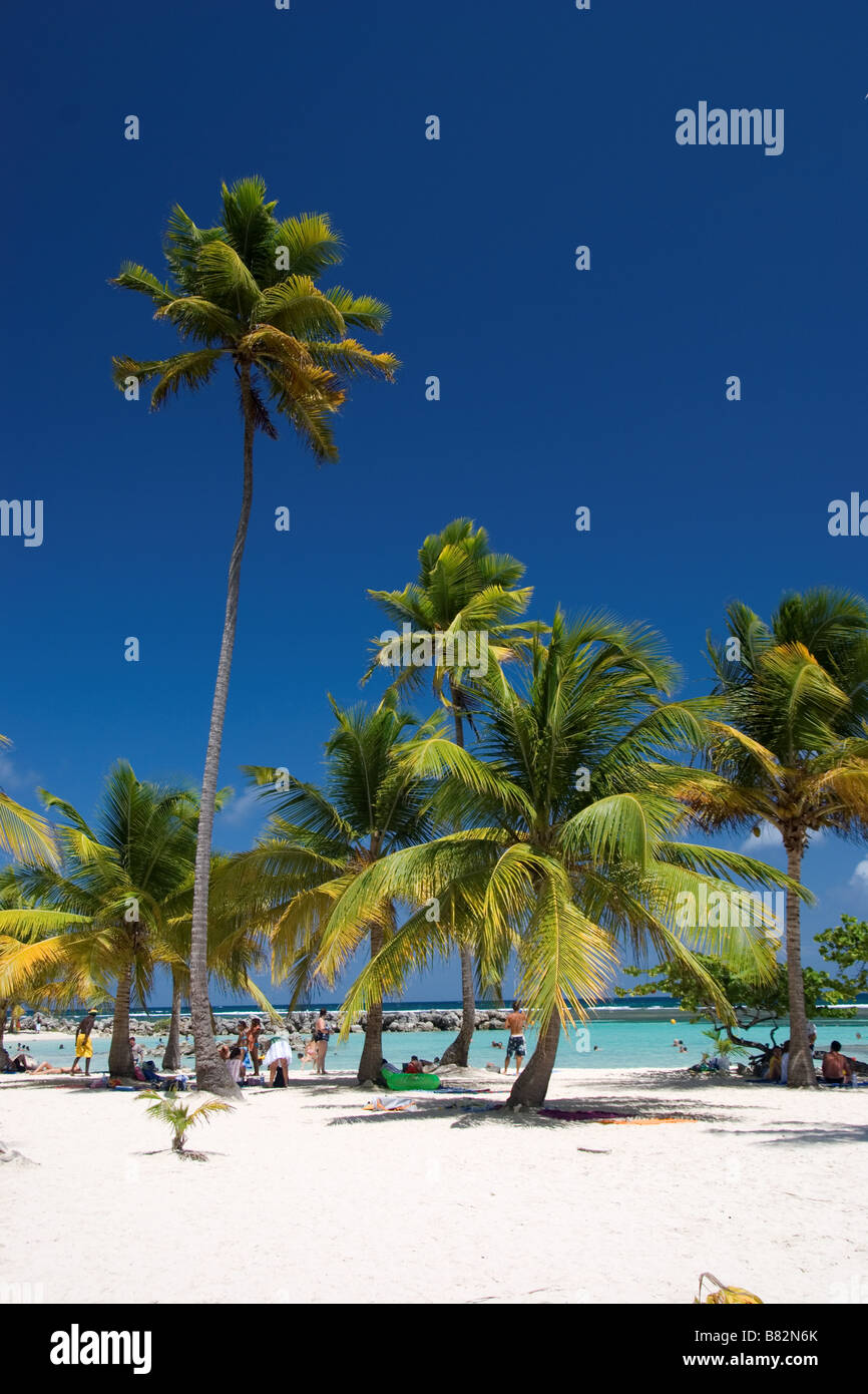 Guadalupa Caraibi Antille Francesi Sainte Anne Beach Paradise Island, la spiaggia di sabbia bianca, palme, cielo blu, vacanza, vacanze, Foto Stock