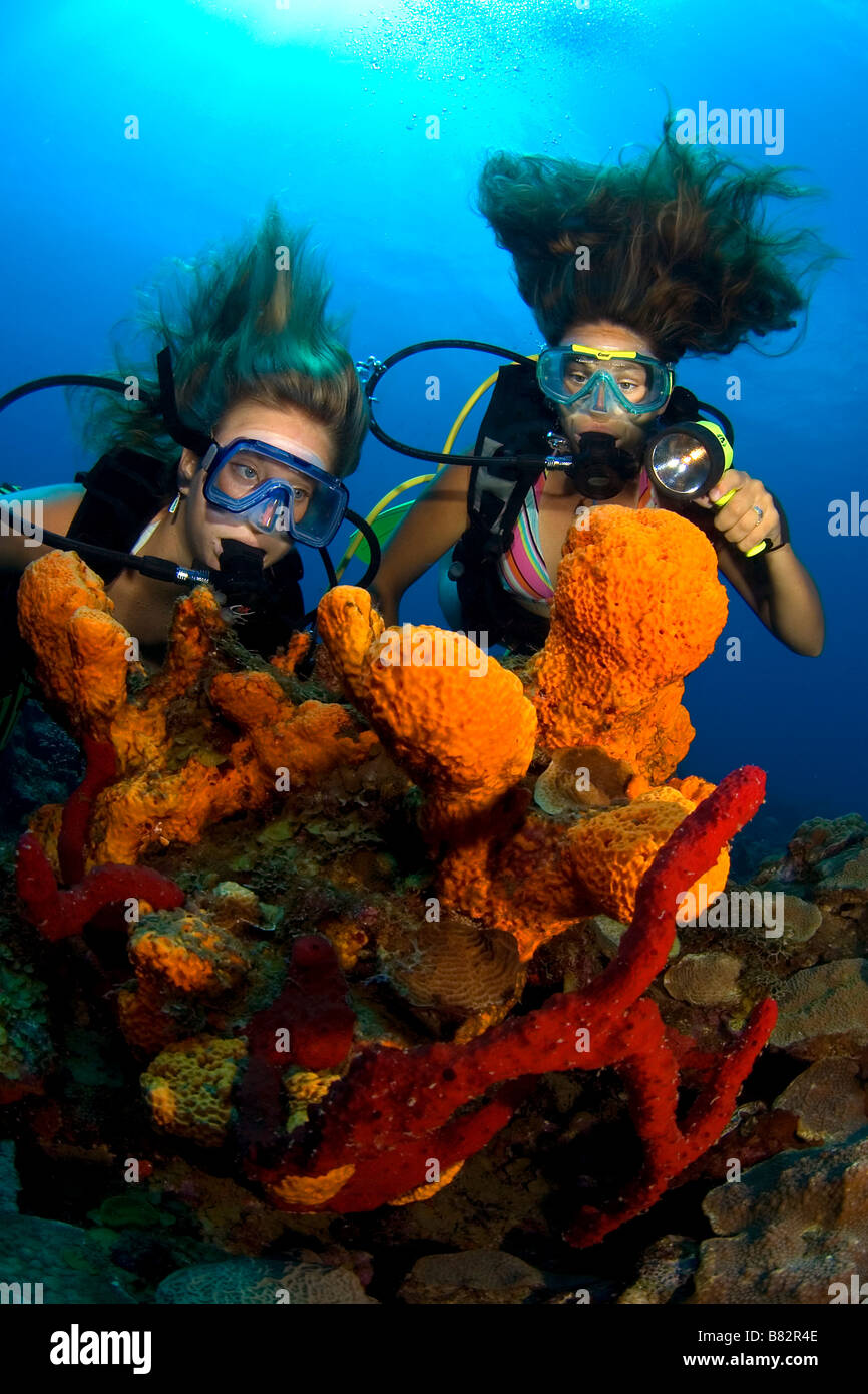 I subacquei femmina in una colorata barriera corallina, Mar dei Caraibi, l'acqua è blu e coralli duri, oceano, diving, bikini, subacquea, Saint Kitts Foto Stock