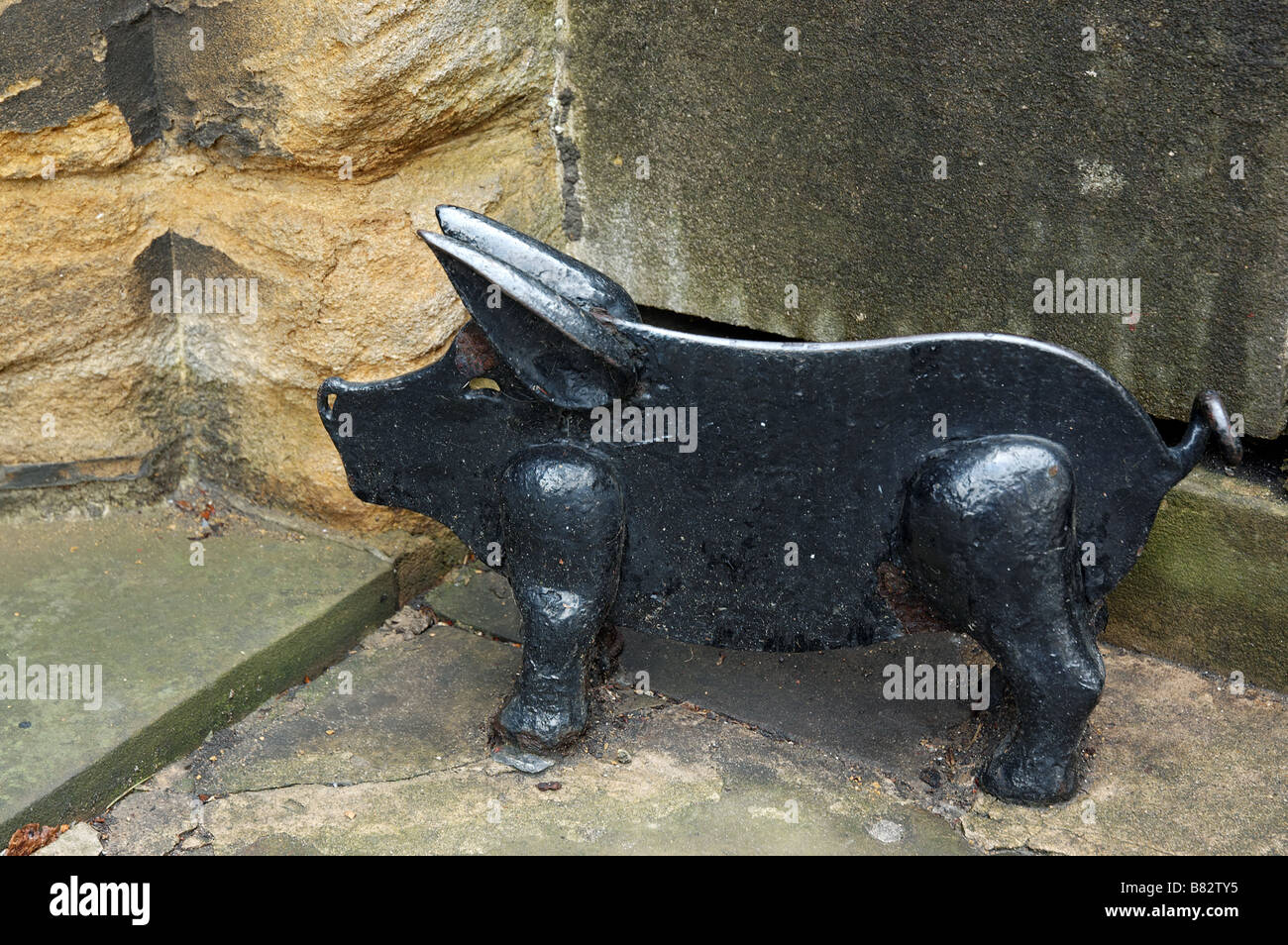 Un avvio vittoriana il raschiatore nella forma di un suino Foto Stock