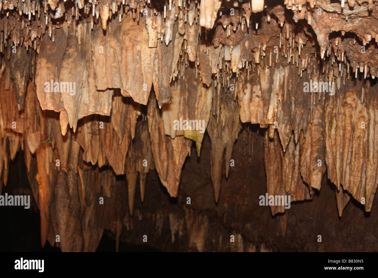 Miramec caverne. Foto Stock