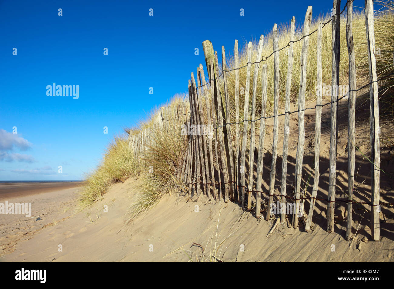 Sabbia di scherma di intrappolamento sulle dune di erosione a Formby punto Foto Stock