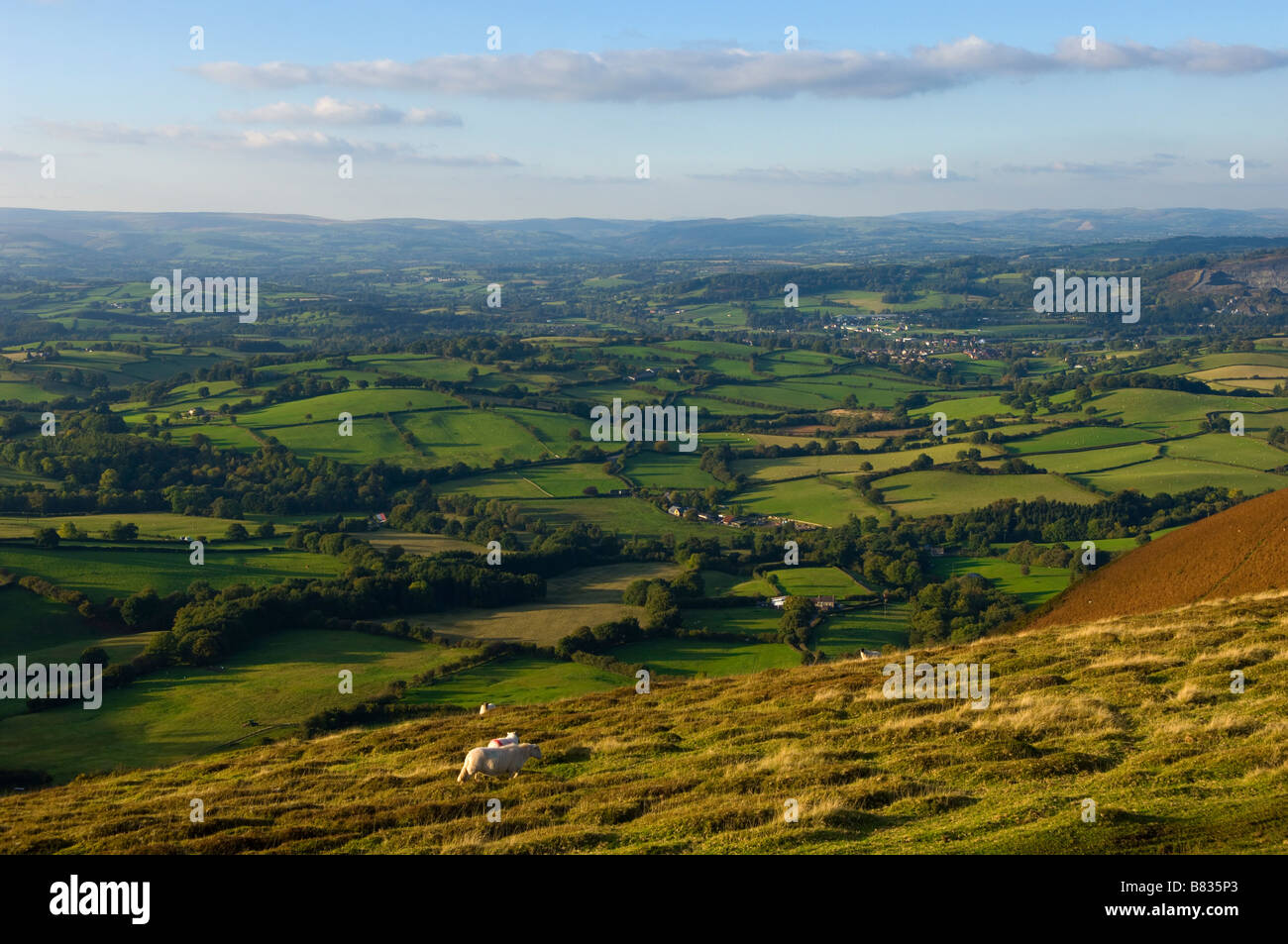 Vista rurale delle zone di montagna in Powys, metà del Galles, Regno Unito Europa. Foto Stock