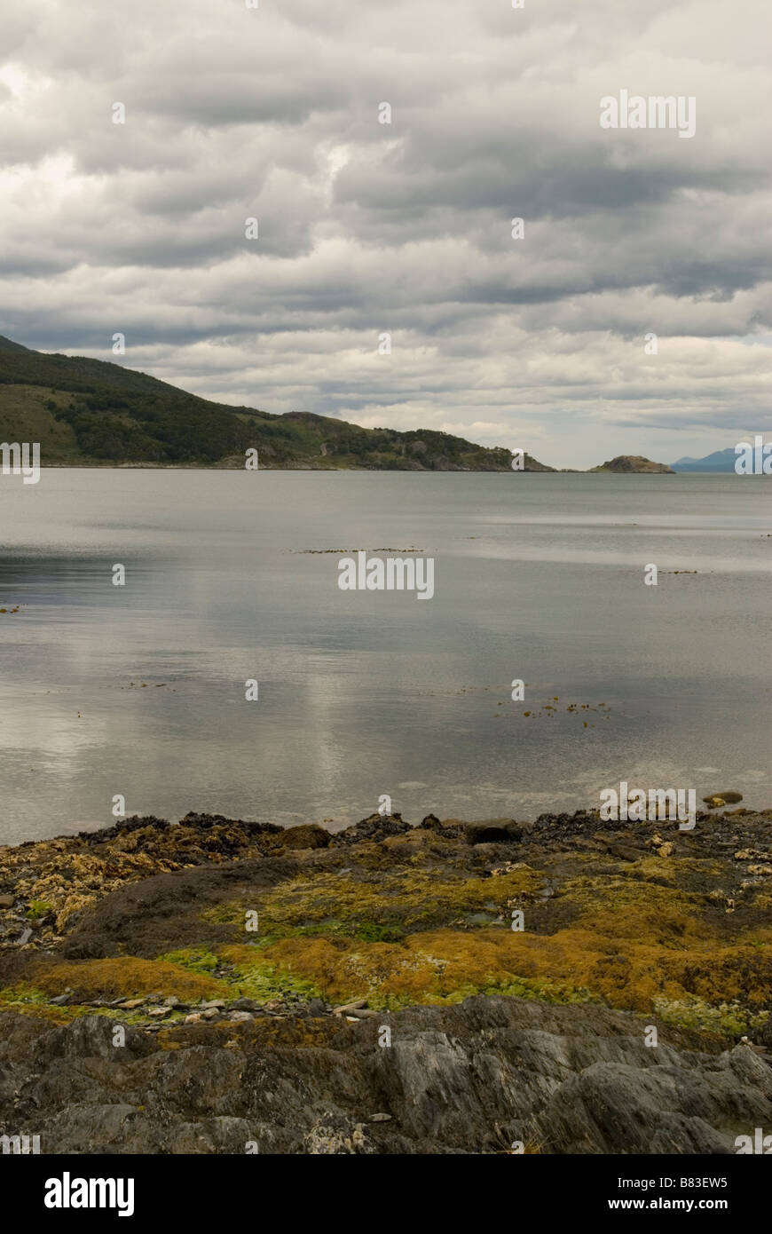 Vista attraverso il Canale di Beagle Foto Stock