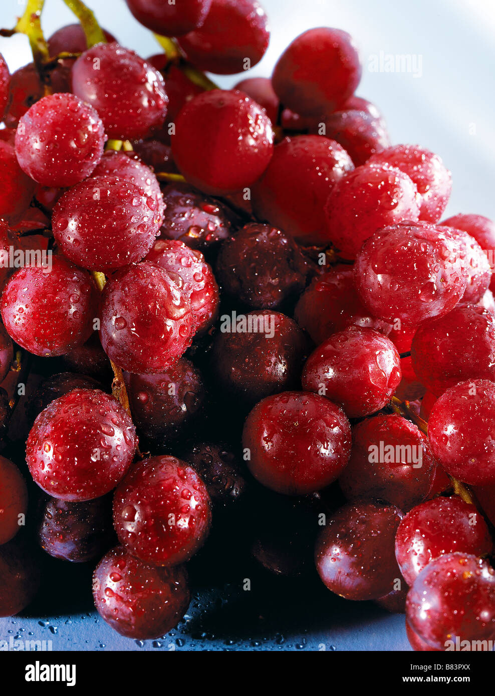 Uva Red Blush Seedless Grappolo di uva rosa Foto Stock