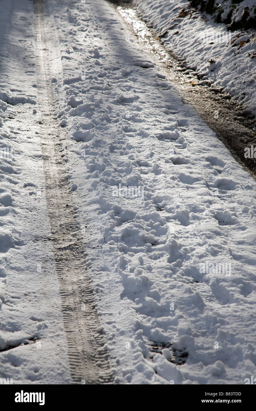 Pneumatico auto tracce nella neve su un bosco LANE, Surrey, Inghilterra. Foto Stock