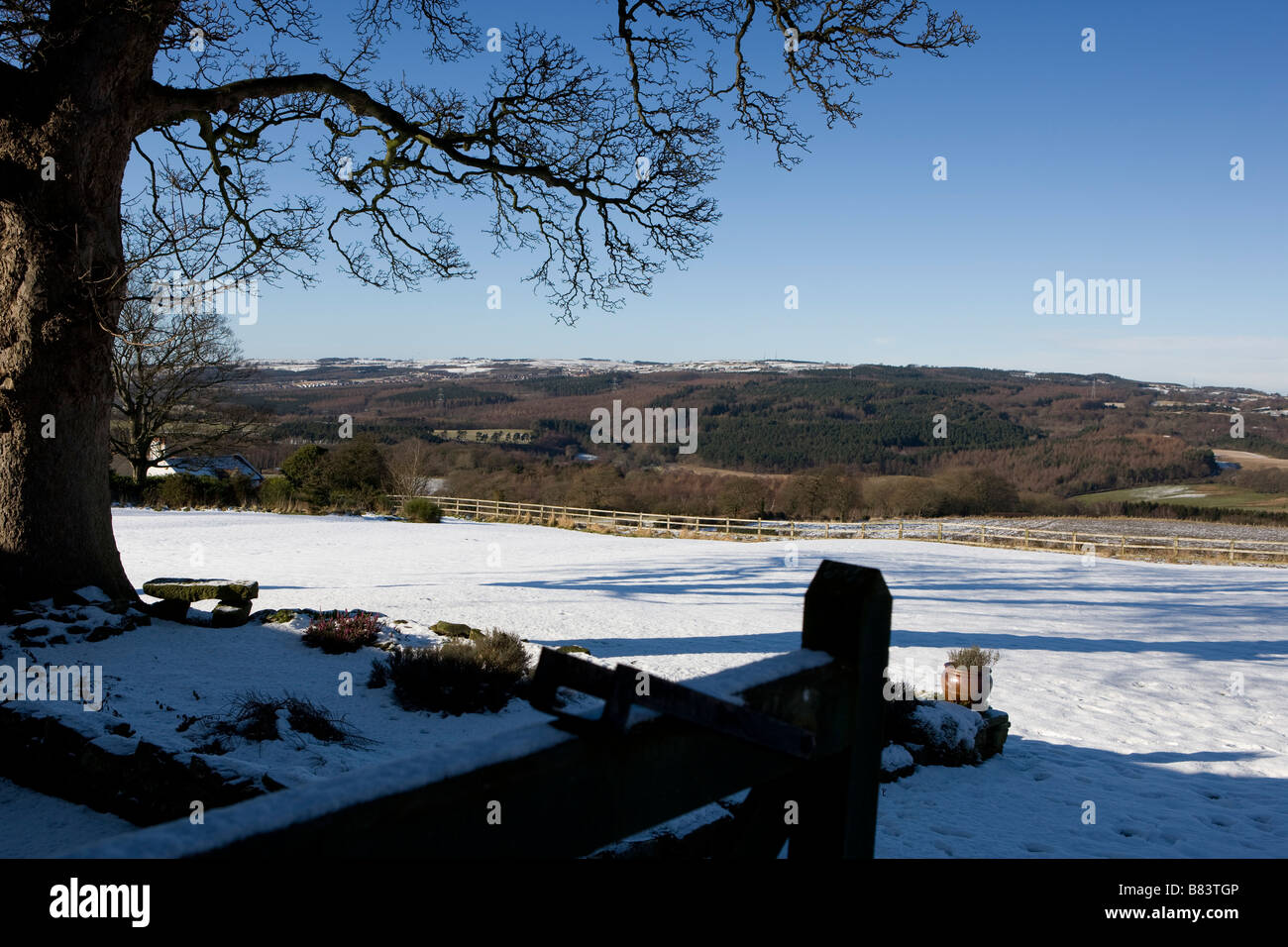 Coperta di neve colline e campi guardando in giù a valle e di fronte ai boschi con marrone e verde Foto Stock