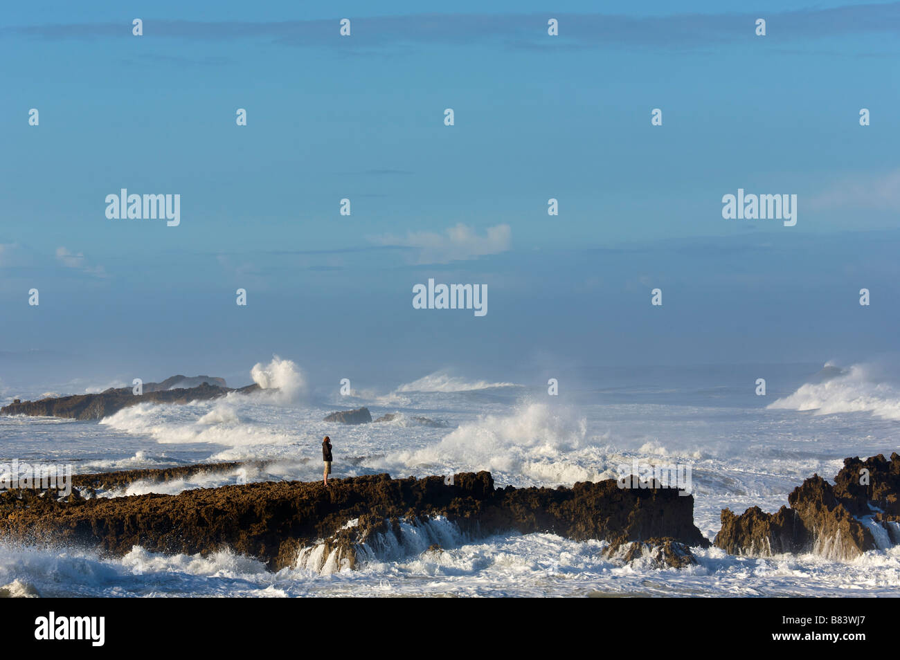 Grandi onde sulla costa vicino a Oualidia Marocco Foto Stock