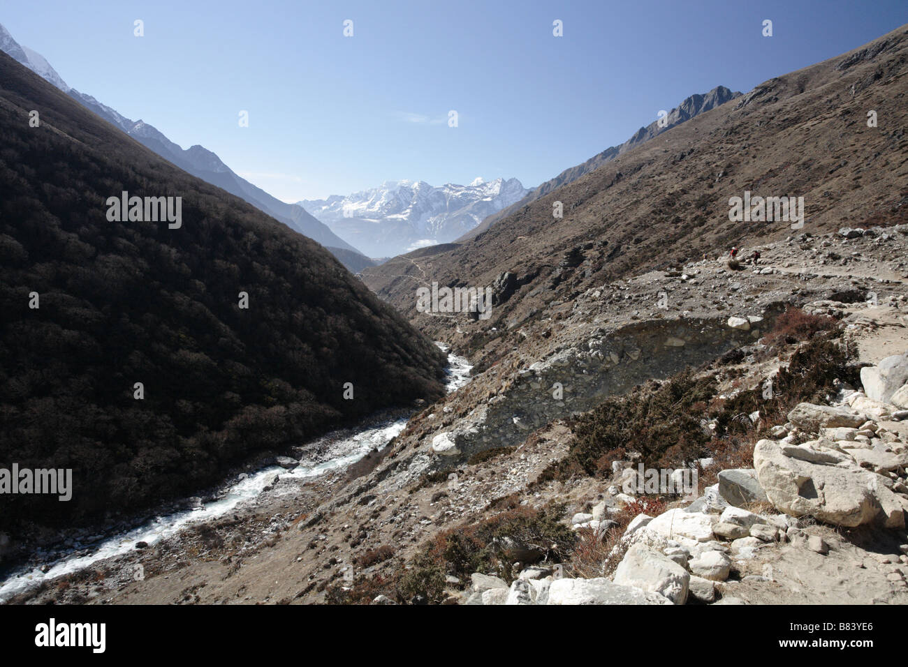 Vista della valle del Khumbu guardando verso sud, sud di Lobuche Foto Stock