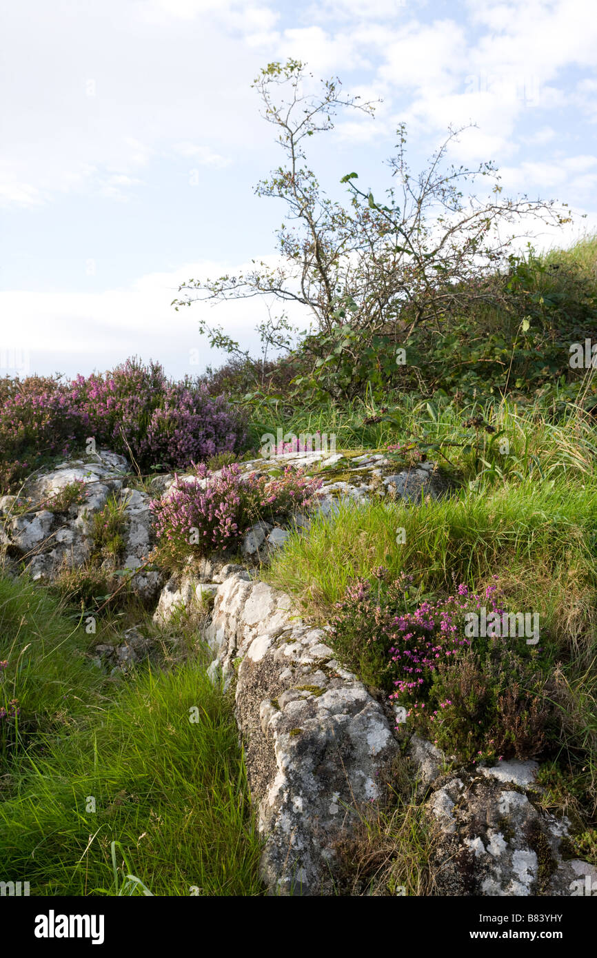 Rotazione collina nei pressi di roccia di Doon, County Donegal, Irlanda Foto Stock