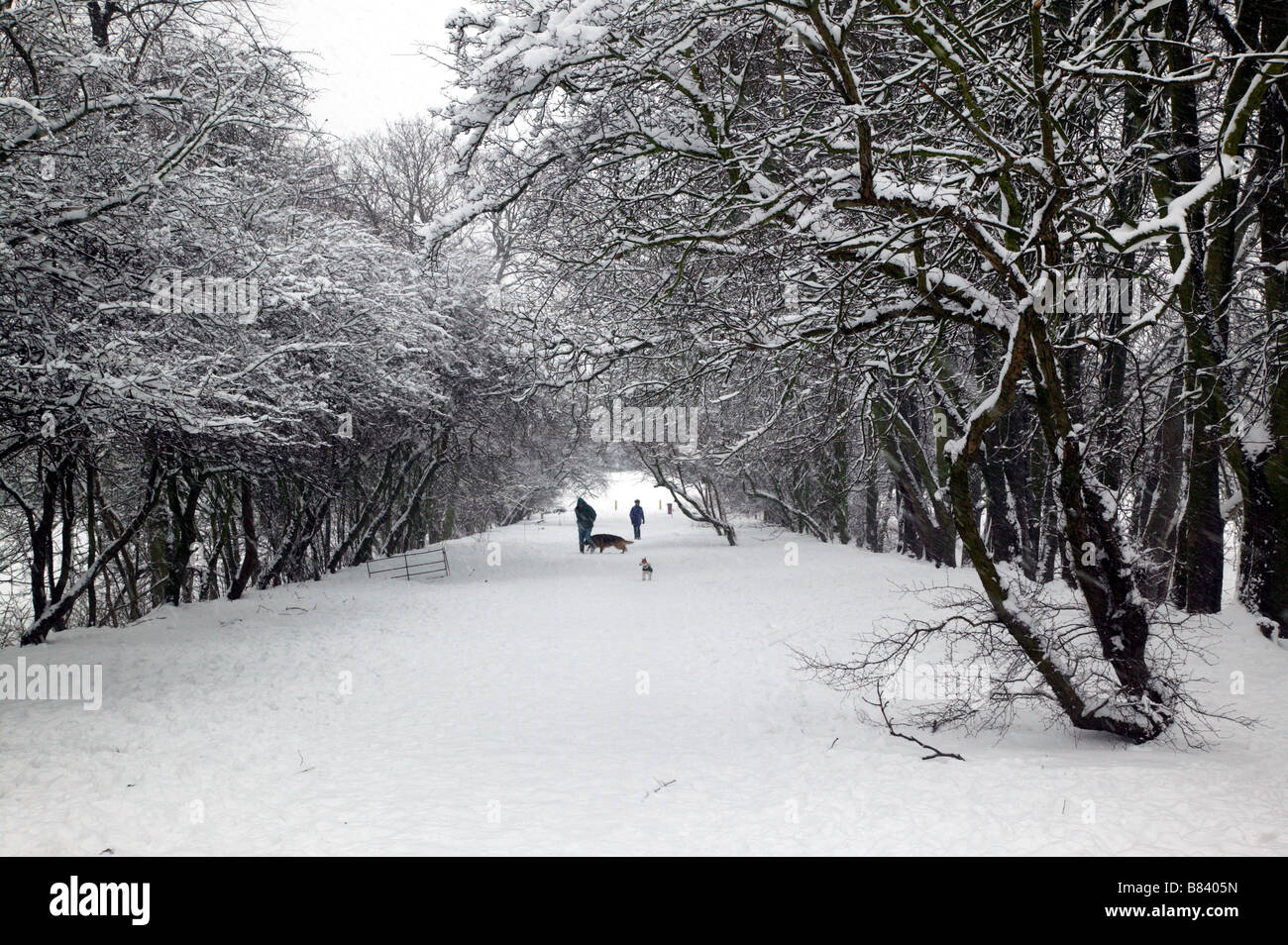Inquadratura di un paio di persone a spasso i loro cani in una molto nevoso, Beckenham Place Park, Lewisham Foto Stock