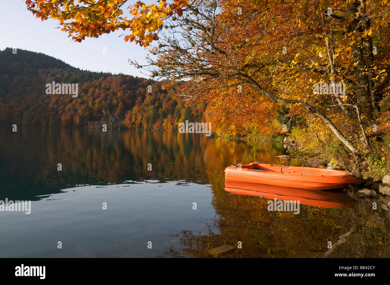 Pavin lago in autunno, Puy-de-Dôme, Auvergne Rodano Alpi, Francia, Europa Foto Stock